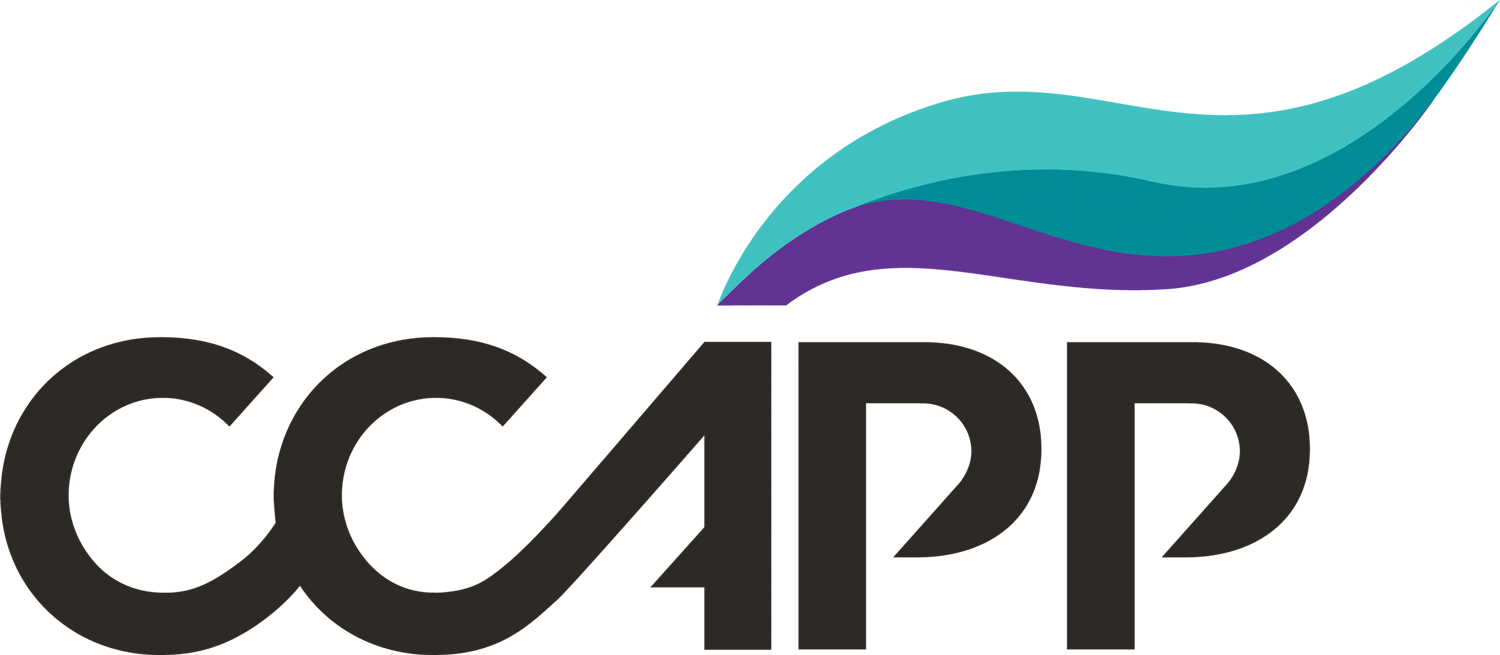 https://sullyinrecovery.com/wp-content/uploads/2024/06/CCAPP_logo.png